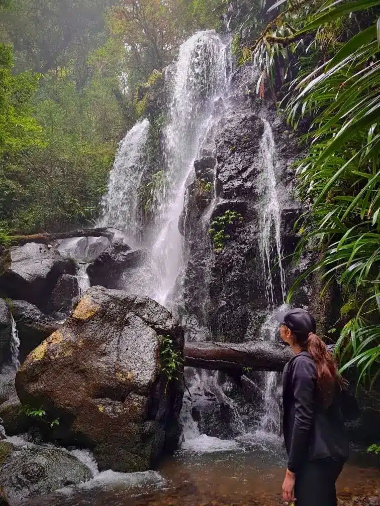 A person in dark clothing stands near a large rocky waterfall surrounded by lush green foliage, gazing up at the cascading water in a forested area.