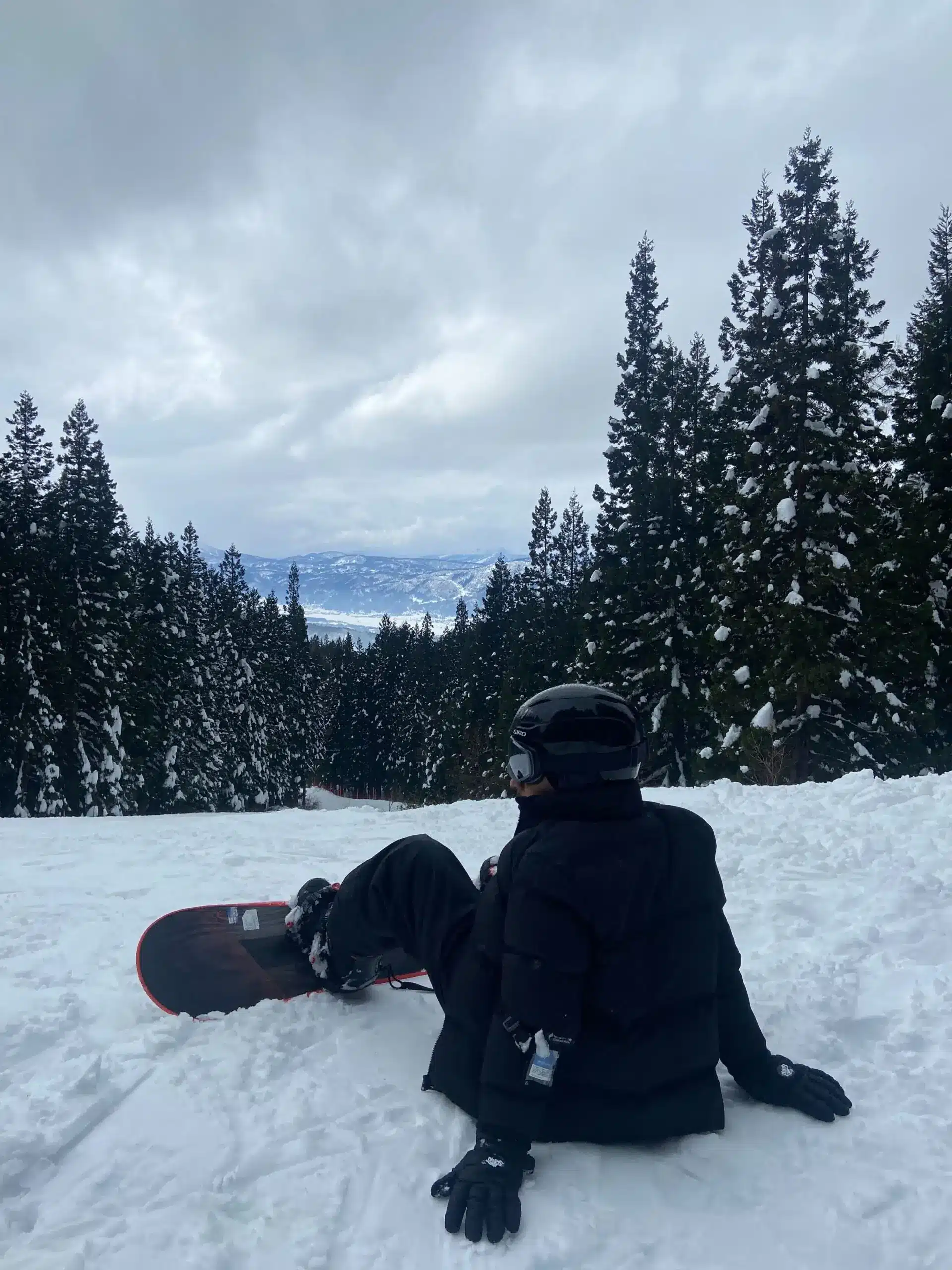 A person in black winter gear and helmet sits on the snow with a snowboard, facing a snowy mountain landscape and tall pine trees under a cloudy sky.