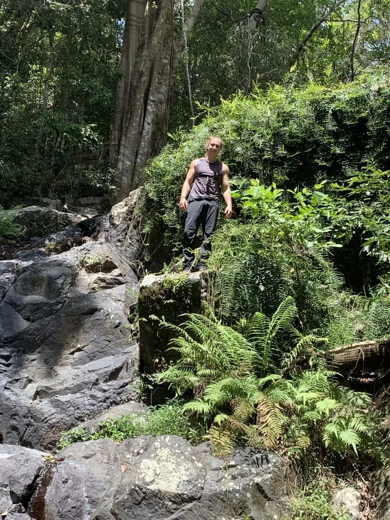 A person in dark clothing stands on a rocky ledge surrounded by lush green ferns and vegetation in a forested area, with sunlight filtering through the trees above.